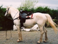 ready to go back to her playmate after a ride