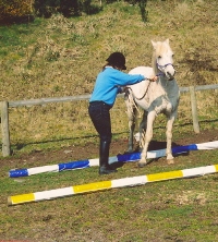 Bess side-passing over  a pole