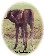 Ebony Cool Cat as a foal