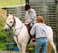 Giving a pony ride to one of my nephews...