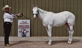 Siriledge Silver Cloud (Shadow)