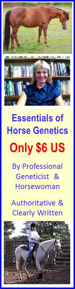 horse genetics