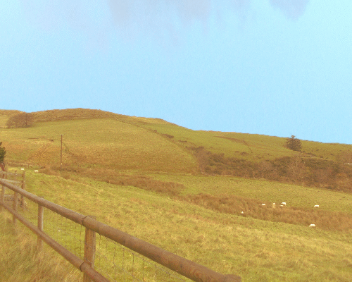 overlooking one of the fields