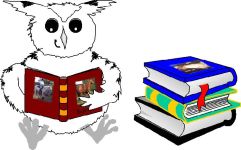 Night Owl Education and Equestrian