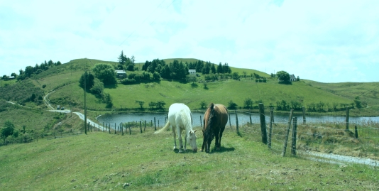 Llyn Yr Oerfa in background